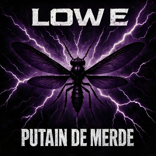 PUTAIN DE MERDE cover art